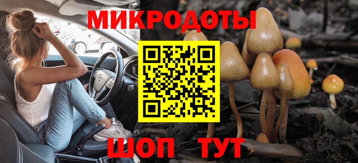 Галлюциногенные грибы Psilocybine cubensis Щёлково